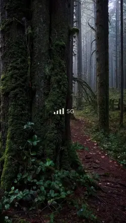 No internet peace