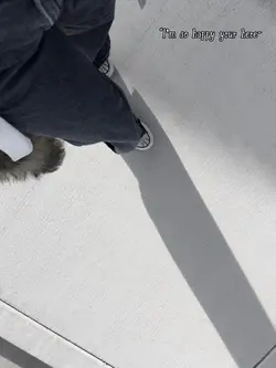 Gear at school pov: