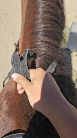 slow-mo