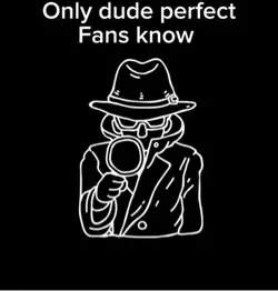 Dude, perfect