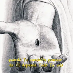 reflexiones 