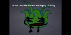 birthday