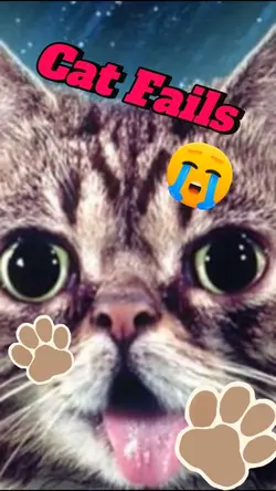 Cat Fails