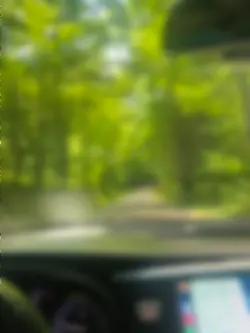 Sunny drive