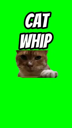 Cat whip