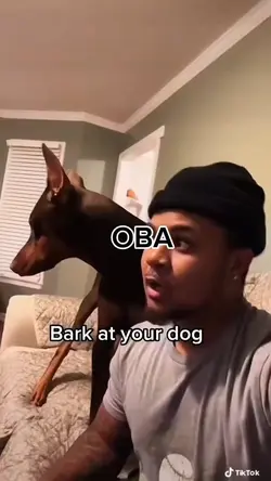 Add 6 clips