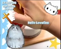 Animal hospita