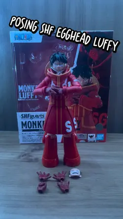 SHF egghead luffy