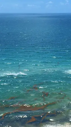Beach getaway 