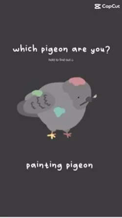 which pigeon are u