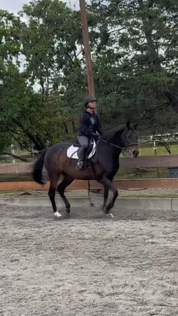 Hacking River 💫