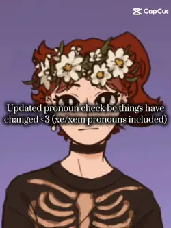 pronoun check again