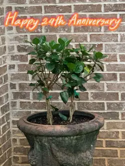 Anniversary Gift