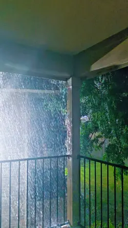 Rainy vibes 
