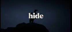 Arthur Morgan