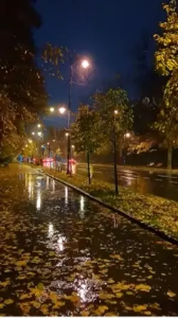 Rainy Autumn Nights