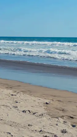 Playa