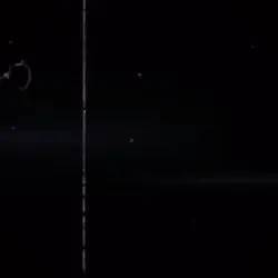 Can you get the dog?