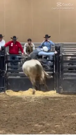 Real Texans