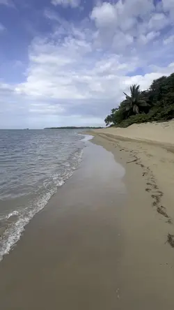 Beach groundin