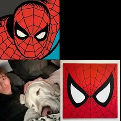 Spiderman