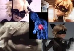 Catt noirrrrr