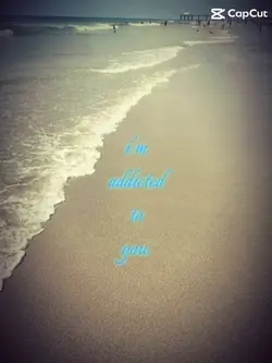 The beach