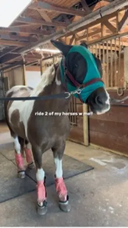 barn vlog!