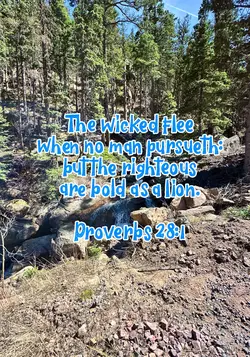Bible verse