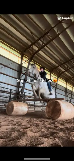 Horse template