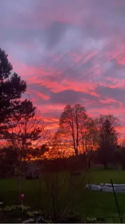 Sunset view