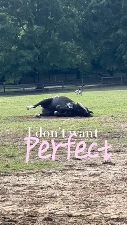 Horses are amazing.
