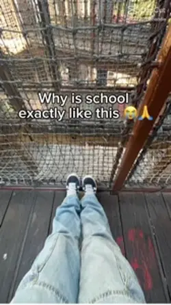 School