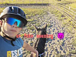 country life/repost 