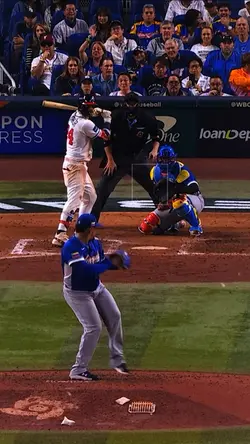 Bryce Harper WBC 
