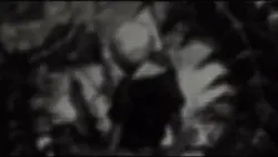 Kenkaneki edit