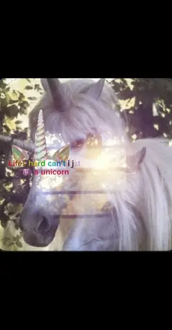 Unicorn