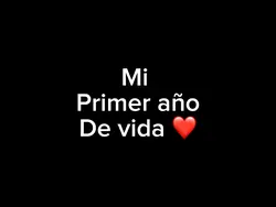 Mi primer año
