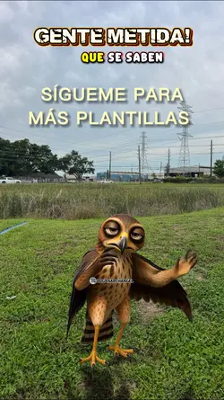 Gente metida gavilan