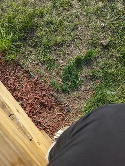 Sneaking out!