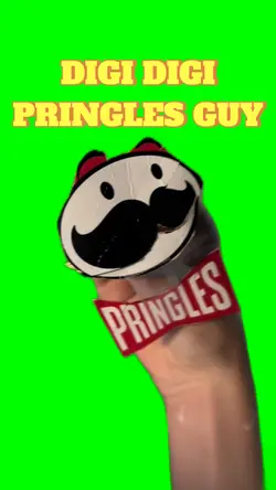 DIGI DIGI PRINGLES