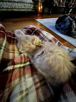 Winnie 