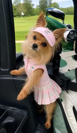 Golf course vibes