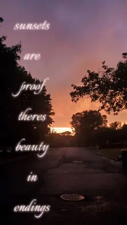 sunsets