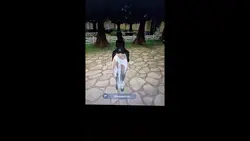 sso Bruce glitch