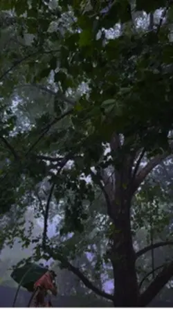 Storms 