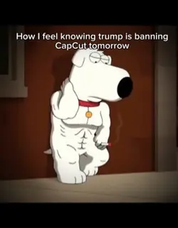 CapCut banned