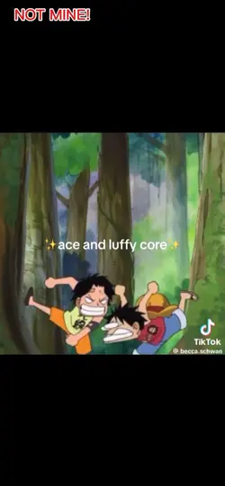 Ace & Luffy core