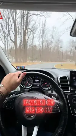 Habibi come to NY