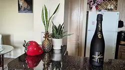 Portabotella